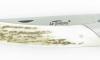 Compagnon Carbon STAG 4